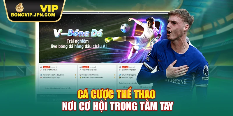 Cá cược thể thao nơi cơ hội trong tầm tay